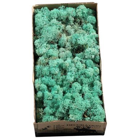 <h4>Ijslandmos (reindeer) Pacific Groen</h4>