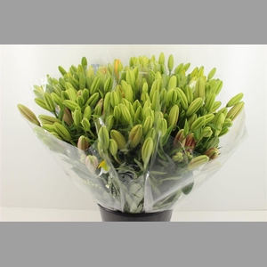 Boeket Mono Lelie Mix