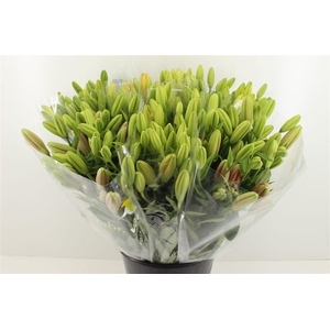 Boeket Mono Lelie Mix