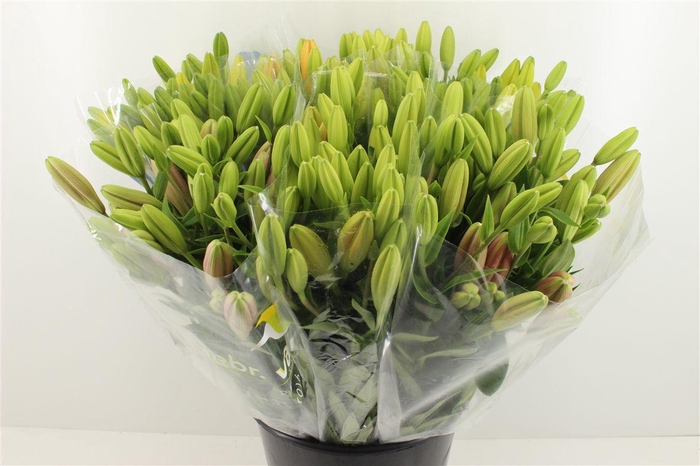 <h4>Boeket Mono Lelie Mix</h4>