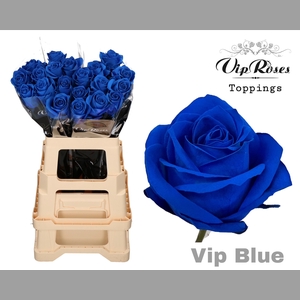 R GR VIP BLUE 65CM x40