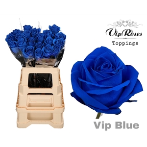 R Gr Vip Blue 65cm X40