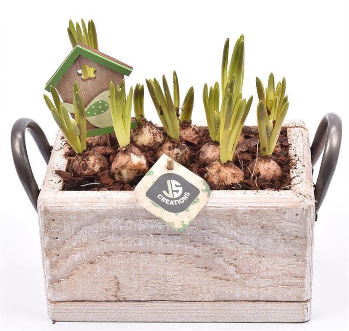 <h4>Hout rechthoek met handvat 20x13cm</h4>