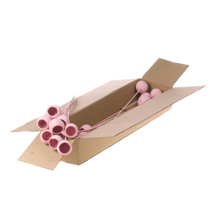 <h4>Bell Cup O/s 10pc Sb Pink Misty</h4>