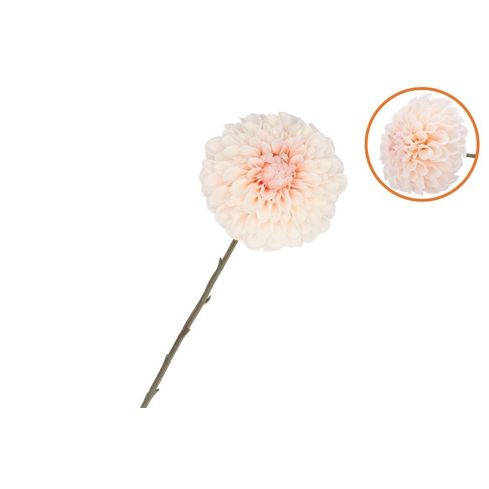<h4>Silk Dahlia Bold Champagne 68cm Nm</h4>
