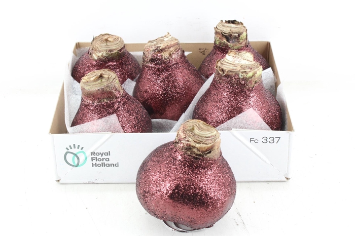 <h4>arr4 Amaryllis CM - Wax glitter bordeaux</h4>