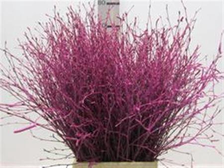 <h4>BERK CERISE L60</h4>