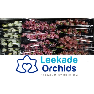 CYMB MI VALENTINE MIX Leekade 20% Extra Packed