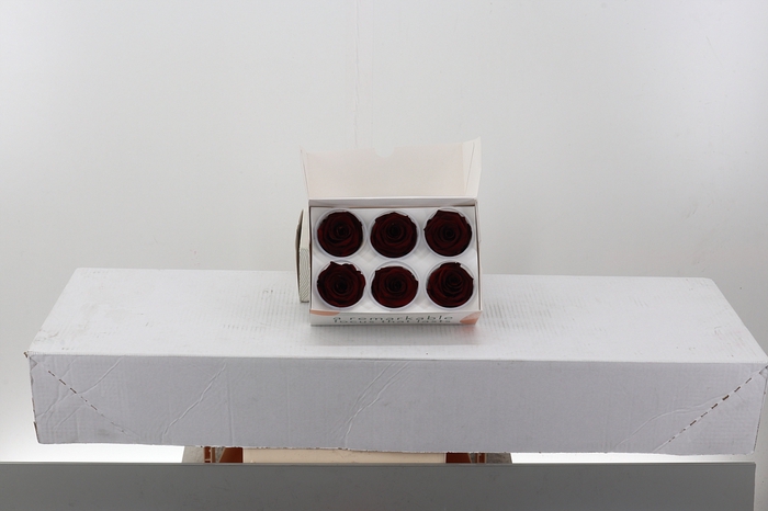 <h4>Rosa Preser. Dark Red Amber</h4>