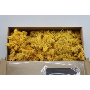 Moss Reindeer Moss 500gr Yellow