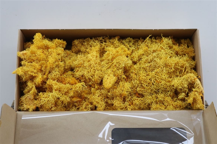<h4>Moss Reindeer Moss 500gr Yellow</h4>