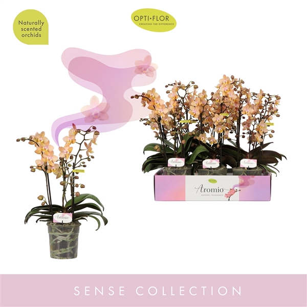 <h4>Aromio Fresh 3 spike</h4>