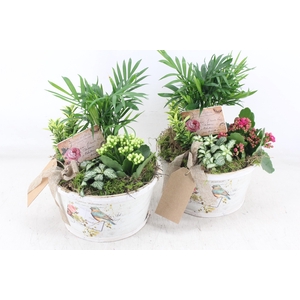 arr2 TD - Schaal rond bird - roze/wit