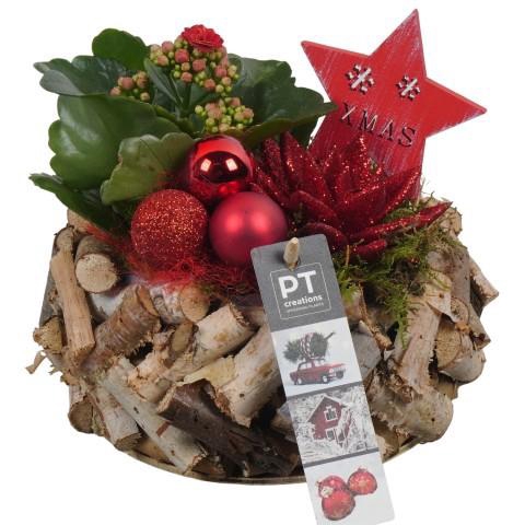 <h4>PTCHR7350 Arrangement Christmas Red in houten pot</h4>