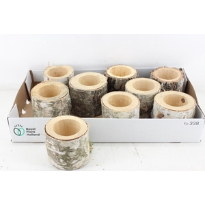 arr3 GB - Schors pot x9