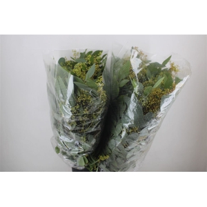 Euca Populus Berry 200gr It X20 P Bunch