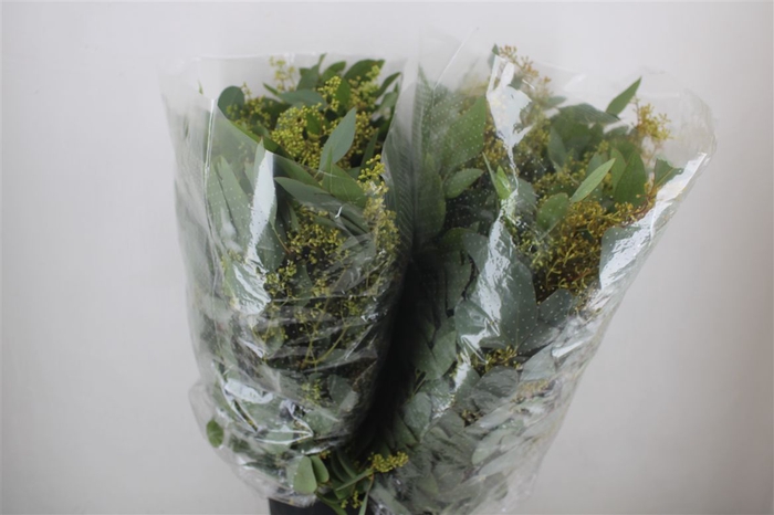 <h4>Euca Populus Berry 200gr It X20 P Bunch</h4>