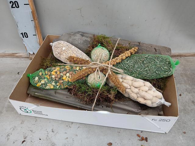 <h4>VOGELZ FIGUUR H%</h4>