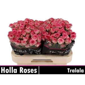 R TR TRALALA