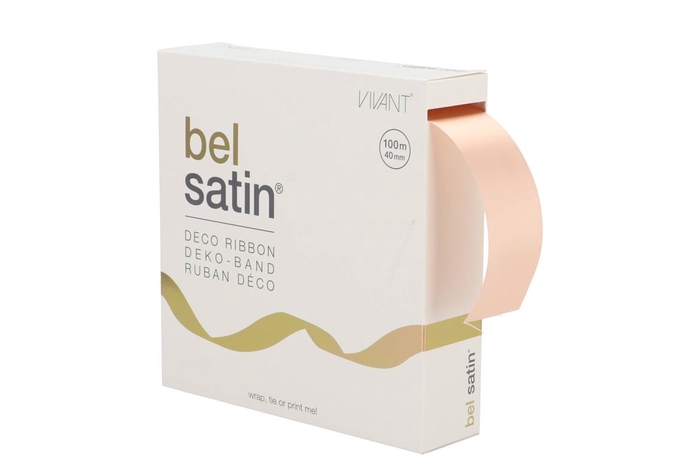 <h4>Ribbon Satin 54 Salom 100mx40mm P/1</h4>