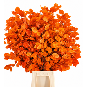 Faggio Preserved Orange (beech,beuk)