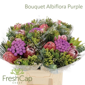 Bouquet Albiflora Purple