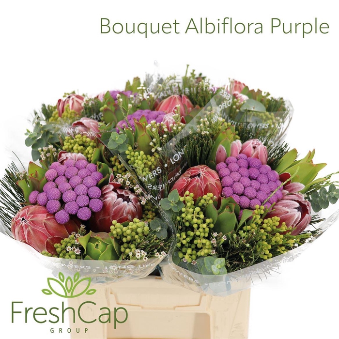 <h4>Bouquet Albiflora Purple</h4>