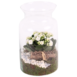 Yearround Glass: Milk Jug Vase ø15cm with 1PP