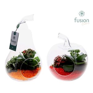 Glas Appel en Peer met arrangement