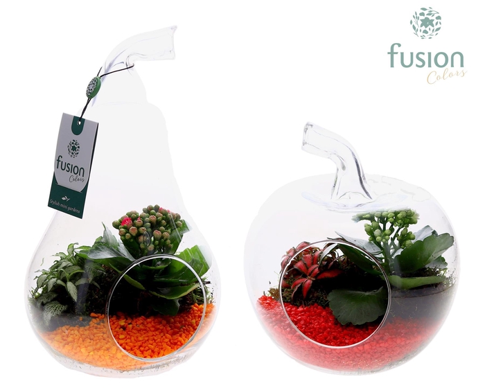 <h4>Glas Appel en Peer met arrangement</h4>