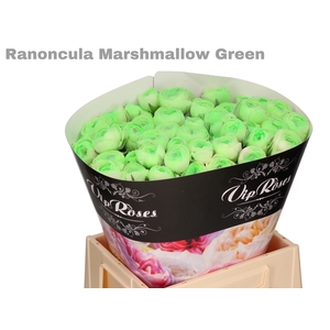 RAN OV MARSHMALLOW GREEN