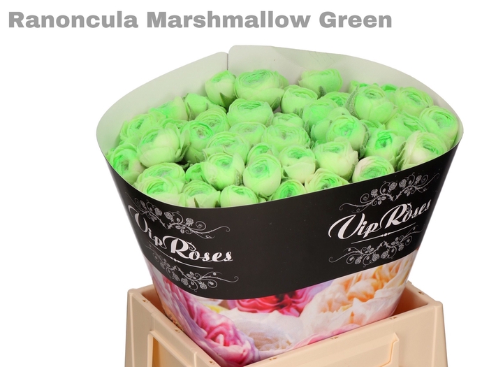 RAN OV MARSHMALLOW GREEN