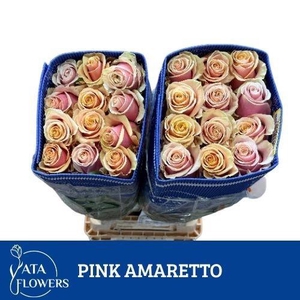 R GR AMARETTO