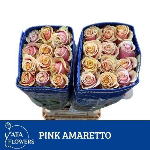 <h4>R GR AMARETTO</h4>