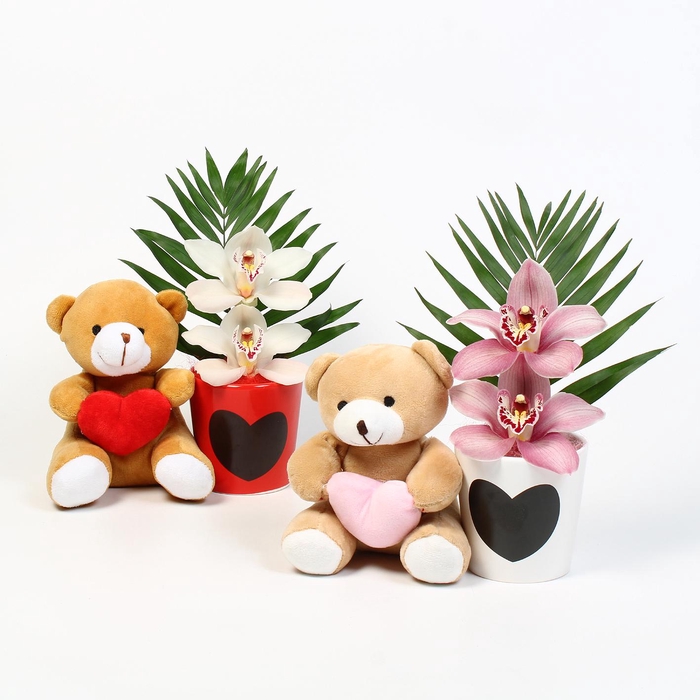 <h4>CYMB VERPAKT P BLOEM 5133</h4>