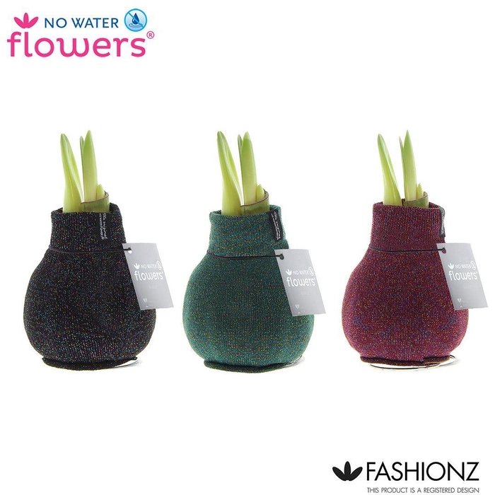 <h4>No Water Flowers® Fashionz Patternz Shine</h4>