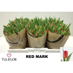 TU EN RED MARK