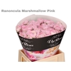 RAN SOFT MARSHMALLOW PINK x30