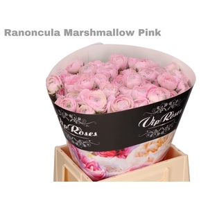 RAN OV MARSHMALLOW PINK