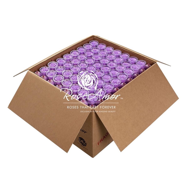 <h4>Lplus Bulk Vio03</h4>