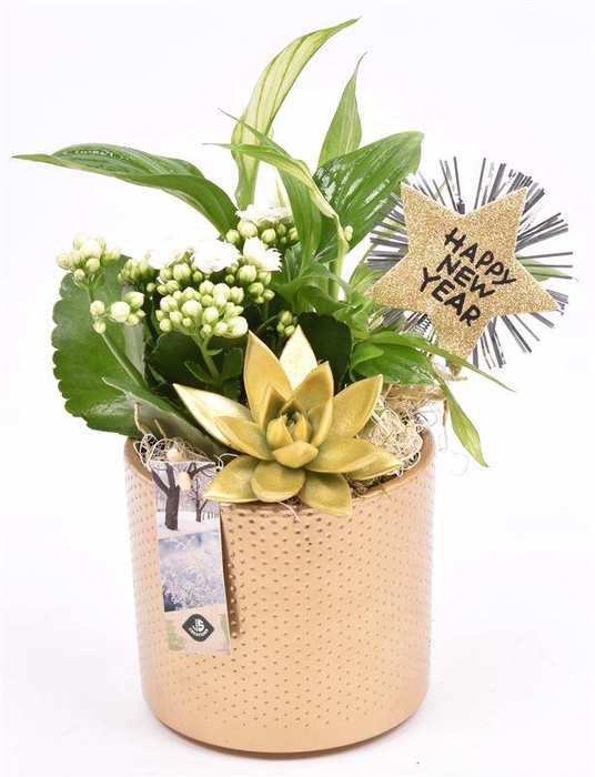 <h4>Keramiek pot goud 14cm</h4>