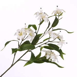 Lilium Spray White