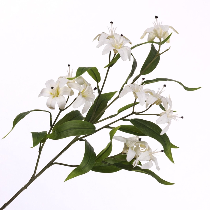 <h4>Lilium Spray White</h4>