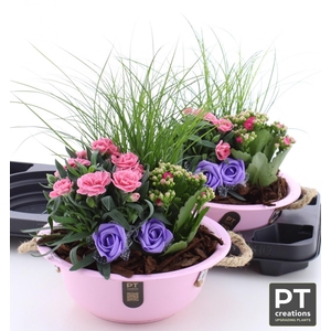 ARR TUINPLANTEN
