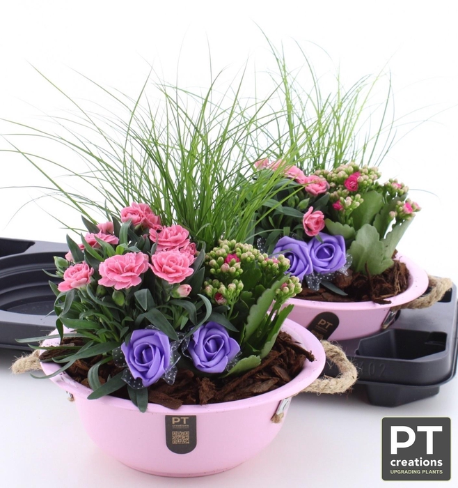 <h4>ARR TUINPLANTEN</h4>