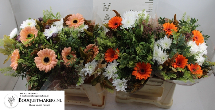 <h4>GEM BOEKET OV</h4>