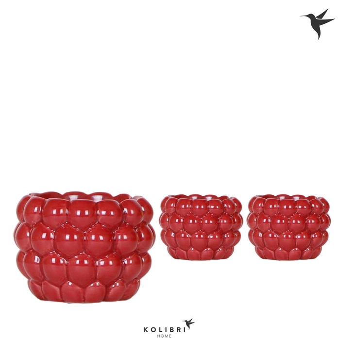 <h4>Kolibri Home Berry pot</h4>