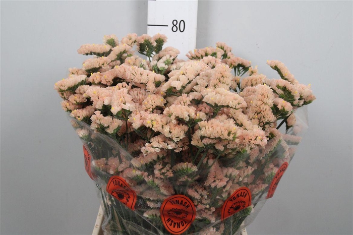 <h4>Lim S Ho Apricot</h4>