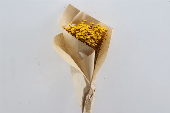 <h4>Dried Glixia Yellow Bunch</h4>