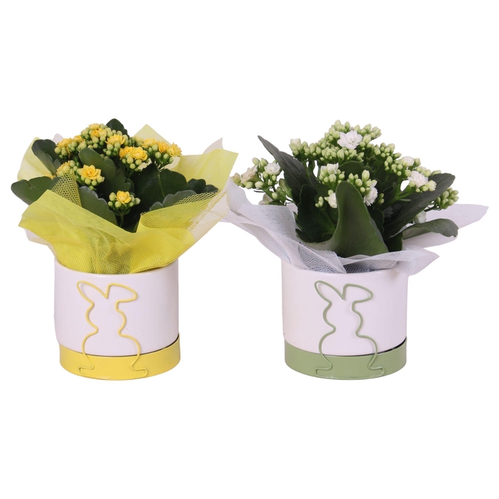 <h4>Easter Arr. Indoor Ceramic Rabbit Frame Pot Ø10cm 1PP</h4>